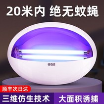Sticky Trap of Drosophila Lamp Restaurant Hotel Home Fly Trap Mosquito Repellent Lamp Food Makers Mosquito Killer Lamp Muted No Radiation
