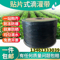 Sprinkler irrigation belt micro spray belt double hole patch dropper hose irrigation belt water saving irrigation water belt agricultural greenhouse watering