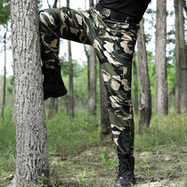 Camouflan garment with pants for mens outdoor loose abrasion resistant and breathable labor Paying pants Spring Summer Army training Army meme pants