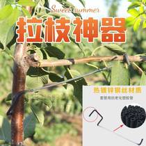 Pull Branches Stereotyped fruit trees press branches Pruner Pruners Bending Branches Open Corner Instrumental tools landscaped branches Branches Twisted generic