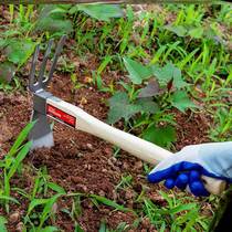 Old rake hoe pick and pine soil pine soil rake 2021 plant tree section hoe