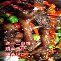 Shandong Zaozhuang spicy chicken two and a half years old rooster chewed about 4kg now killed the fried Shunfeng goods