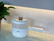 Watson new electric steamer