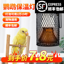 Pet parrot matte matte ceramic turtle heat preservation lamp chicken warm lamp hamster anti-scald anti bite belt cover heating