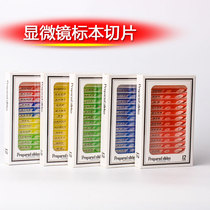 Children microscope specimen slicing Primary and secondary school students Biological science experiment Popular science Insects Plants Animals toys