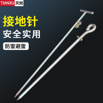 Ground Pin Arrestor Special Ground Pin 0 5 m 5 m 8 m 0 Earth Rod Power Distribution Source Thunder Resistant