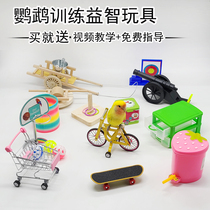 Parrot educational toy training props training Bird supplies Xuanfeng tiger skin peony bicycle shooting trash can ring