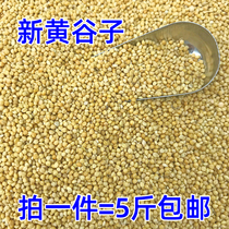 New yellow millet with shell millet tiger skin Peony Xuanfeng small and medium-sized parrot bird bird feed bird food bird food 5 pounds