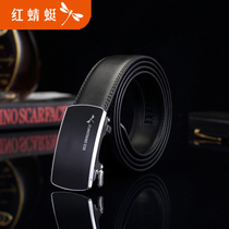 红蜻蜓男士自动扣腰带皮带新款夏季光面百搭牛皮男式裤带皮带