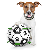 Dog Football Toys Amazon Explosive Light High Bomb Small and Medium Dog New Pet Interactive Ball Toys