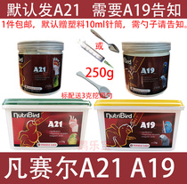 New imports of Belgian Versell parrot milk powder A21A19 young bird milk powder 250g default A21