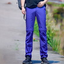 Beijing forest outdoor spring and autumn quick-drying leisure sports mountaineering breathable five-point pants quick-drying pants for men and women
