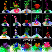 Hotel decoration plate decoration flowers and plants embellishment cold dish decoration Catering plate decoration creative sashimi plate decoration dishes