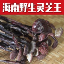 Hainan Wuzhishan Wild Little Red Ganoderma Lucidum King long-necked Little Red Long-necked Ganoderma Lucidum 250g whole branch and half catty