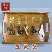 Hainan five-color Ganoderma lucidum White lucidum Qingzhi unhandled Ganoderma lucidum black Zhi Huangzhi 500g pot water deep mountain wild Ganoderma lucidum