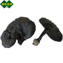 Large number of wild black lingzhi purple lingzhi 250g (4 only) in Yunnan