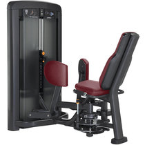 American Lijian LIFEFITNESS Brand Insignia Series Thigh Muscle Trainer SSHAD