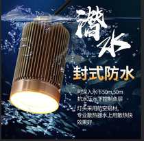 Eagle Rui underwater raft fishing lamp warm yellow light fishing lamp Raft fishing underwater fishing fishing lamp micro lead night fishing rod slightly light fishing lamp