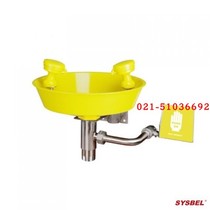  Factory inspection eye washer Wall-mounted eye washer Wall-mounted emergency eye washer eye washer manufacturer WG7023Y