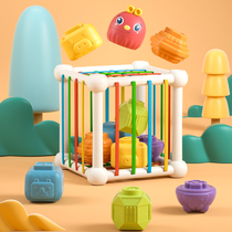 Rainbow Sedley Yizhi one-year-old baby shape cognition 6 fine movements 3 Montessori early education toys