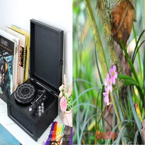  Function Bluetooth vinyl record player decoration Record player Retro vinyl machine