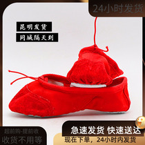 Yunnan Kunming men and women children dance shoes soft bottom practice shape Shoes ballet cat claw shoes canvas children dance shoes