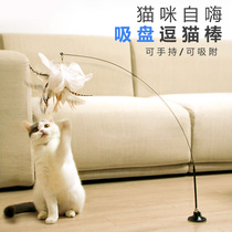 Suction cup fixed wire long rod Feather lazy cat stick Cat toy Self-hey boredom artifact Automatic cat toy