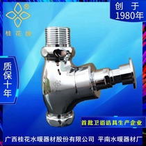 Osmanthus brand Flushing Valve toilet toilet squatting toilet toilet squatting toilet delay hand press type valve pure copper