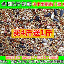 Xuanfeng Peony Pacific Keck Xuanfeng with Shell bird food parrot feed grain mixed bird grain nourishing pill