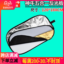 Shenniu 120x180CM five-in-one studio photography equipment shooting photo reflector with carrying bag