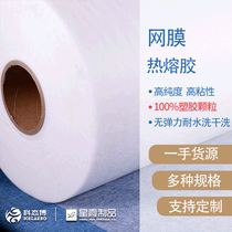 Mesh Hot Melt Adhesive no sewn material non-woven clothing fabric mesh Hot Melt Adhesive mesh manufacturers