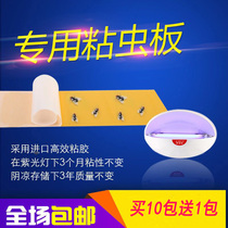 灭蝇灯专用粘纸灭蚊灯粘虫板灭苍蝇纸蚊子贴纸板飞虫粘捕式灭蚊纸