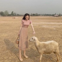 2022 Summer Hebbon Wind suit dress name Yuanyuan Temperament Sweet collection waist Xianthin Mori Department Broken Flowers one-piece dress Two sets
