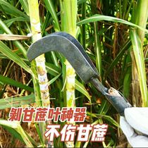Sugarcane blade blade blade special tool scraper blade blade cutting leaf leaf leaf leaf tear fork sickle
