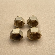 Agricultural 40% joint nebulizer drugbeating full copper inner 40% transexternal 14 14-turn connector spray gun adapter copper nut