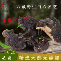 Wild Ganoderma lucidum Tibetan specialty white heart red ganoderma lucidum natural flavor is not bitter 250 grams Shan Nan can help slice