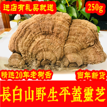 Wild tree tongue Ganoderma lucidum 250g Ganoderma lucidum powder Changbai Mountain flat cover Ganoderma lucidum pruning