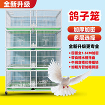 New matching cage pigeon cage quail cage pigeon ingot pigeon cage with trough pigeon matching cage bird cage