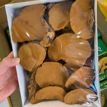 Changbai Mountain wild bulk Phellinus Ganoderma lucidum 500g gift box Non-Tibetan Phnom Penh Mulberry Poplar Mulberry yellow tea powder
