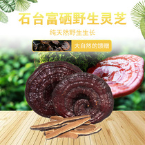 Shitai Xianjushan wild whole branch Nyingchi natural non-planting tonic rich in selenium scattered 250 grams