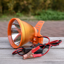 Handsome Lip 12V volt blue light night fishing light bright light ultra bright 200W lamp head LED fishing light 60W external to battery lamp