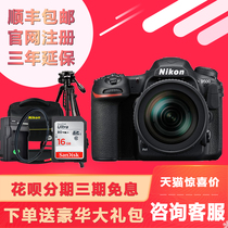 Nikon Nikon D500 single body DX flagship professional high definition digital SLR WiFi touch flip screen