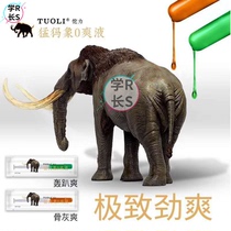 Mammoth G fluid vestibular gay small receptacle No 0 with anal chrysanthemum male gay male non-rhino fluid