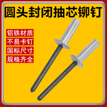  Aluminum closed core pulling rivets M3M4M5M6 waterproof pull rivets Sealed flat round head GB12615