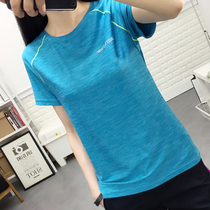 Spring and summer outdoor quick-drying clothes Womens short-sleeved T-shirt Mens t-shirt quick-drying long-sleeved elastic crew neck running fitness breathable ultra-thin