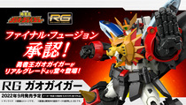  Vandet RG Yong-man Wang GAOGAIGAR Isolated Assembly Model