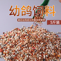 Pigeon feed No corn pigeon grain breed pigeons pigeons pigeons pigeons bird food bird food