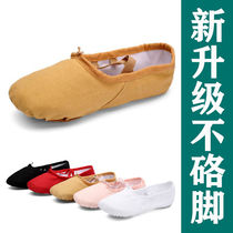 Childrens dance shoes for adults girls without lace-up soft bottom cloth cat claw practice Mens ballet dance yoga shoes
