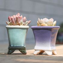 Jingdezhen kiln glaze starry sky color mini white light fleshy flowerpot creative thumb basin small square mouth breathable coarse pottery basin