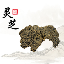 Lansheng Tong Tibet Wild Lucid Lucid Lucid Lucid Lingzhi Lucid Lucid Lucid Lucid and Lucid Lucid and Lucid Lucid 500 gr And Lucid